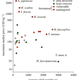 Image for article titled Why You Should Care That Sea Cucumbers Are Going Extinct